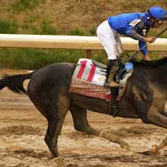 2025 Acorn Stakes: Can anybody upset Good Cheer on Friday at Saratoga?