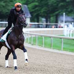 How to watch the 2025 Belmont Stakes for free: Time, live stream, odds