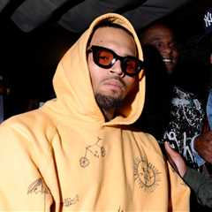 Chris Brown Assault Lawsuit Dismissed by Alleged Victim