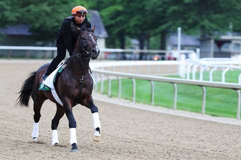 How to watch the 2025 Belmont Stakes for free: Time, live stream, odds