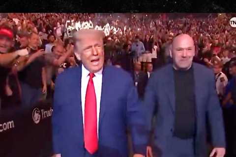 Donald Trump Attends UFC 316 Without Elon Musk After Week Of Sparring