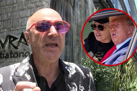 Kevin O'Leary Says Trump & Musk Need to Kiss and Make Up for America's Sake