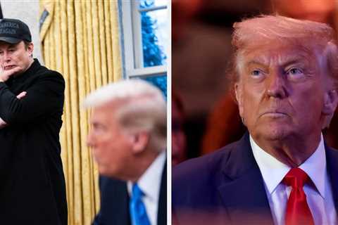 Here's Where Donald Trump And Elon Musk Reportedly Stand After Elon's Apology