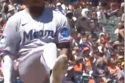 Giants announcer has one word for Marlins’ Dane Myers after wild bat-breaking tantrum