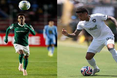 FIFA Club World Cup 2025: How to watch Palmeiras vs. Botafogo for free