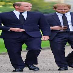 Prince Harry’s Unveiling of More Royal Secrets Unveils Uncertain Future, Experts Suggest