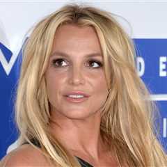 Britney Spears Did Not Actually Adopt a ‘Beautiful Baby Girl,’ Despite Her Claims
