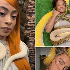 Slithering Stars With Snakes for World Snake Day!