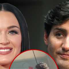 Katy Perry & Justin Trudeau Looked Like Pals at Dinner, With No PDA, Chef Says