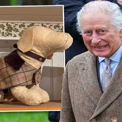King Charles Just Dropped £50 Dog Jackets and I Can't Even