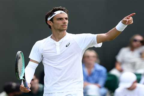 Wimbledon match stopped due to medical emergency in stands