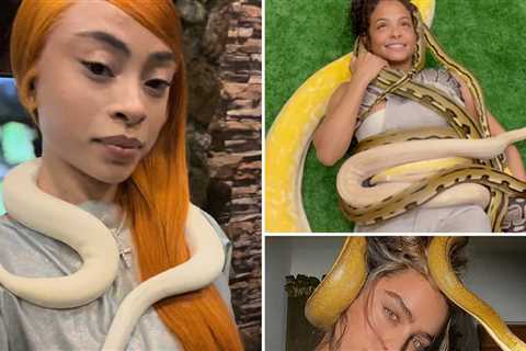 Slithering Stars With Snakes for World Snake Day!