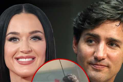 Katy Perry & Justin Trudeau Looked Like Pals at Dinner, With No PDA, Chef Says