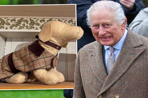 King Charles Just Dropped £50 Dog Jackets and I Can't Even