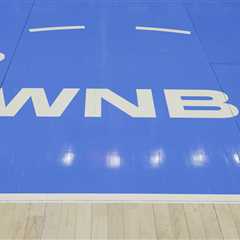WNBA fan arrested for throwing sex toy on court during Valkyries-Dream game