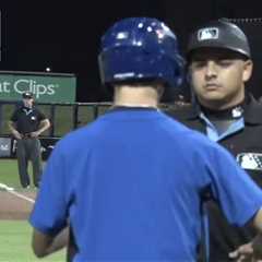 Bat boy seemingly ejected by minor league umpire in wild scene