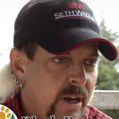 Joe Exotic Sues Animal Sanctuary for Allegedly Spaying, Neutering Tigers