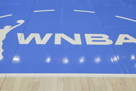 WNBA fan arrested for throwing sex toy on court during Valkyries-Dream game