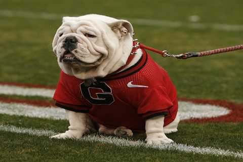 BetMGM bonus code POSTBET for $1,500 in bonus bets for the 2025 college football season