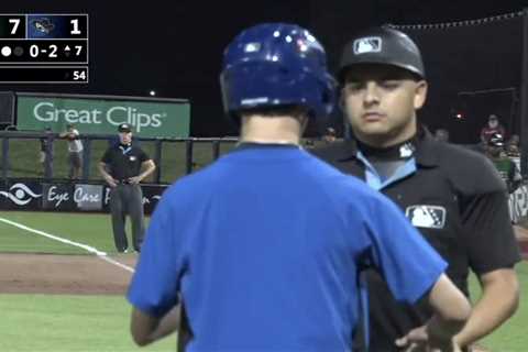 Bat boy seemingly ejected by minor league umpire in wild scene