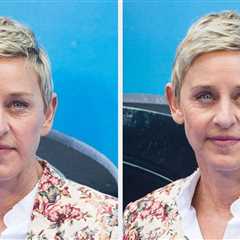Ellen DeGeneres Is Reportedly Being Sued For Allegedly Running A Stop Sign And T-Boning A Driver