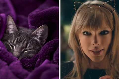 Pick An Autumn Image In Every Color And I'll Give You A Track From Red That Defines Your Fall Vibes