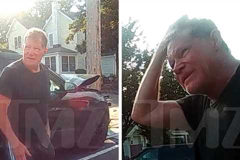 'Nip/Tuck' Star Dylan Walsh Seen on Shocking Police Video After Major Car Crash