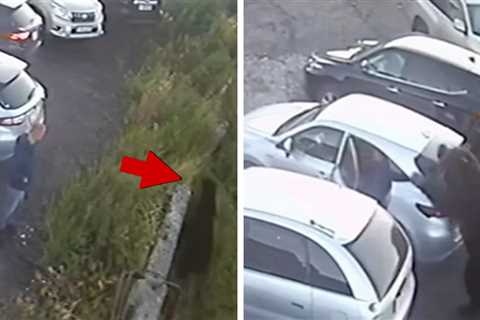 Man Narrowly Escapes Scary Bear Attack in Russia, on Video