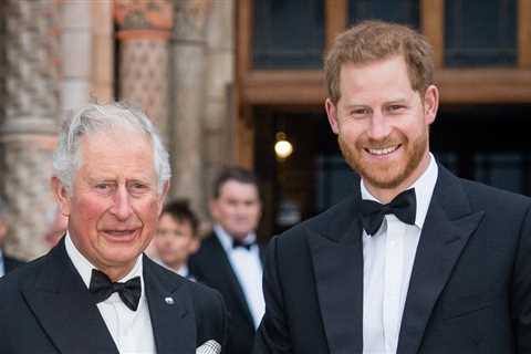 Prince Harry Issued A Rare Statement On His Relationship With King Charles