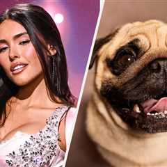 Can You Guess These Celebrity Dog Names?