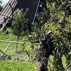 The Crucial Role of Associations in Disaster Relief Efforts in Wayne County, Michigan