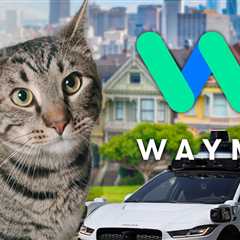 Beloved San Francisco Bodega Cat Killed by Waymo Self-Driving Car, Neighbors Say