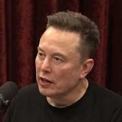 Elon Musk, Joe Rogan Say Fewer Kids Identify as Trans After Twitter Takeover