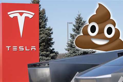 Chicago Woman Smears Dog Poop on Trump-Themed Cybertruck