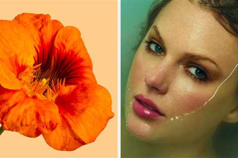 Pick Some Orange Objects To Find Out Which Track From TLOASG Is Your Jam