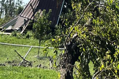 The Crucial Role of Associations in Disaster Relief Efforts in Wayne County, Michigan