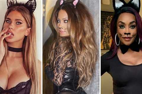 Celebrity Black Cats To Celebrate National Cat Day ... Meooow!