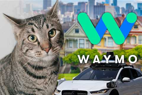 Beloved San Francisco Bodega Cat Killed by Waymo Self-Driving Car, Neighbors Say