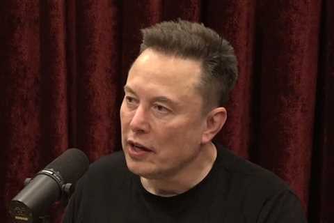 Elon Musk, Joe Rogan Say Fewer Kids Identify as Trans After Twitter Takeover