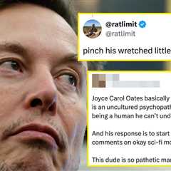 Elon Musk Just Got The Takedown Of The Century, And The Internet Thinks He's Veryyyy Butthurt