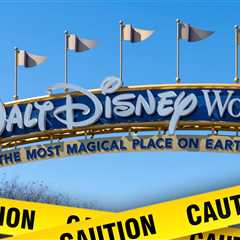 Fifth Person Dies at Walt Disney World Resort in One Month