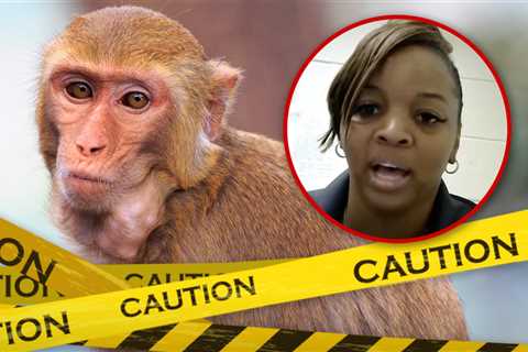 Monkey Killing Mom Will Not Face Criminal Charges in Primate Shooting