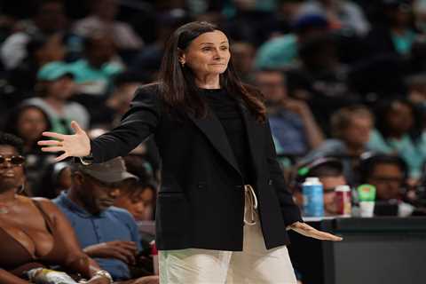 In Toronto, Sandy Brondello getting what she didn’t from Liberty