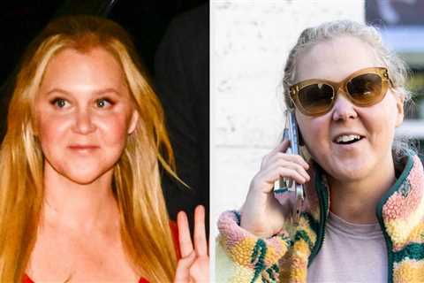 Amy Schumer Seemingly Deleted All Of Her Pre-Weight Loss Instagram Photos