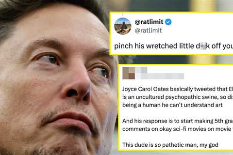 Elon Musk Just Got The Takedown Of The Century, And The Internet Thinks He's Veryyyy Butthurt