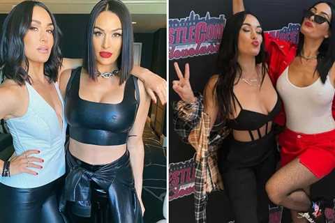 The Bella Twins Hot Shots -- Nikki and Brie Turn 42!