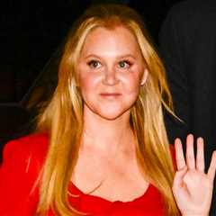 Amy Schumer Shows Off Incredible Weight Loss in Sexy Social Media Pics