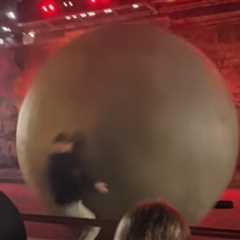 Disney World Employee Recovering After 400-lb Boulder Crushed Him