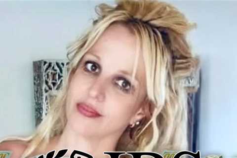 Britney Spears Fighting With IRS Over $600,000