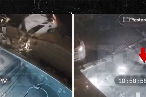 Airborne Car Crashes Into Yard, Driver Plunges Into Pool, on Video